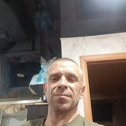 , 44, 