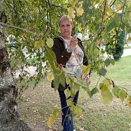 , 59, 