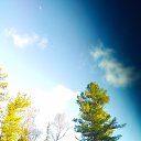 ���� ���������, ���������, 67 ��� - ��������� 9 ������ 2025 � ������ ���� ����������