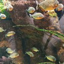 ���� �����, ����������� - ��������� 27 ������ 2026 � ������ ���� ����������