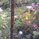 ���� ���������, �������� - ��������� 22 ������� 2025 � ������ �����