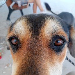 ���� Gorizant, ������, 24 ���� - ��������� 23 ������� 2024