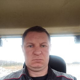 , 44, 