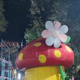 ����, �������