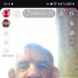 , 54, 