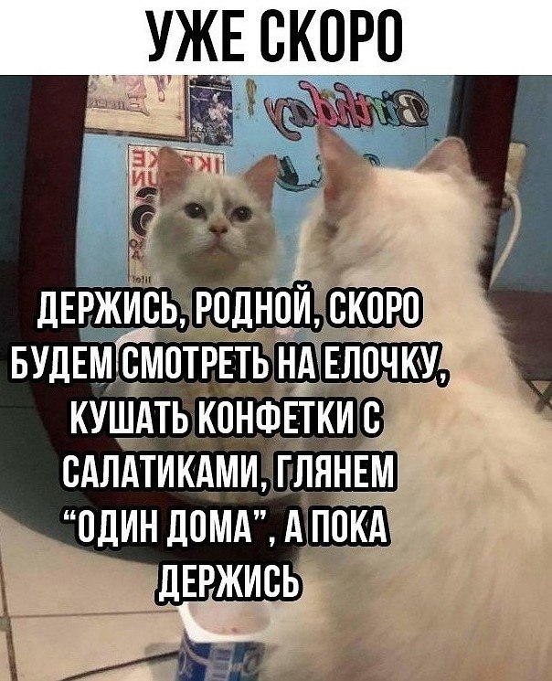 �������� ������� ������������