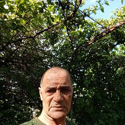 , 54, 