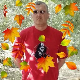 , 52 , 