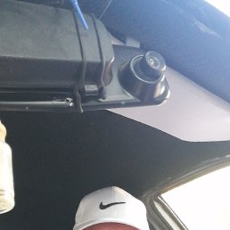 , 53, 