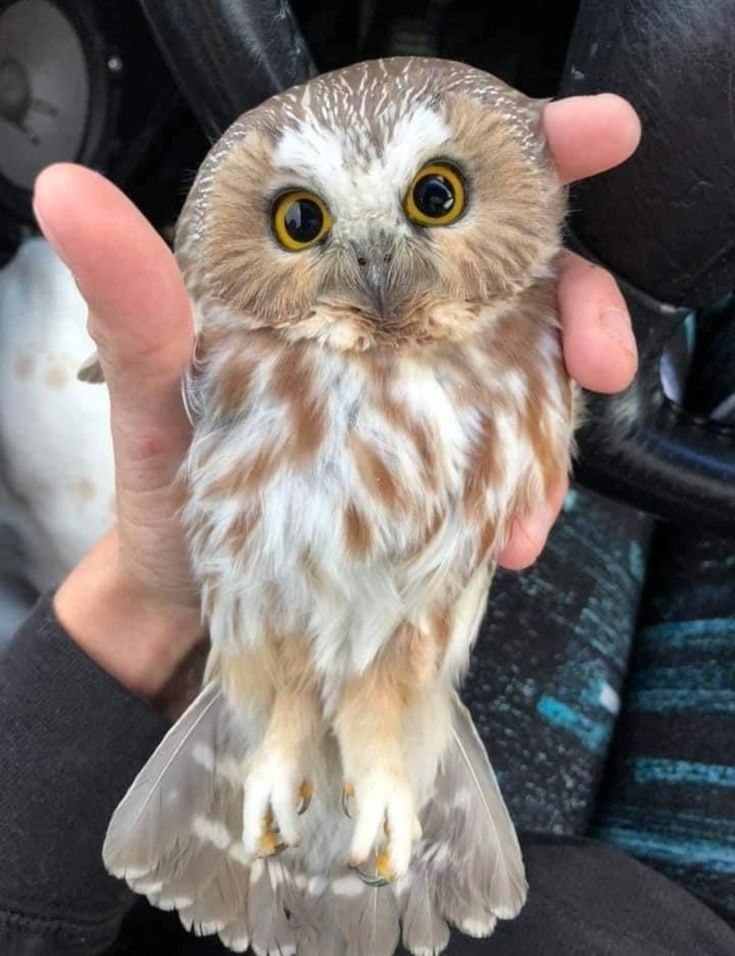 ������