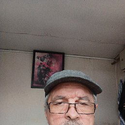 , 65 , 