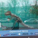 ���� ����, ������, 41 ��� - ��������� 25 ������� 2025