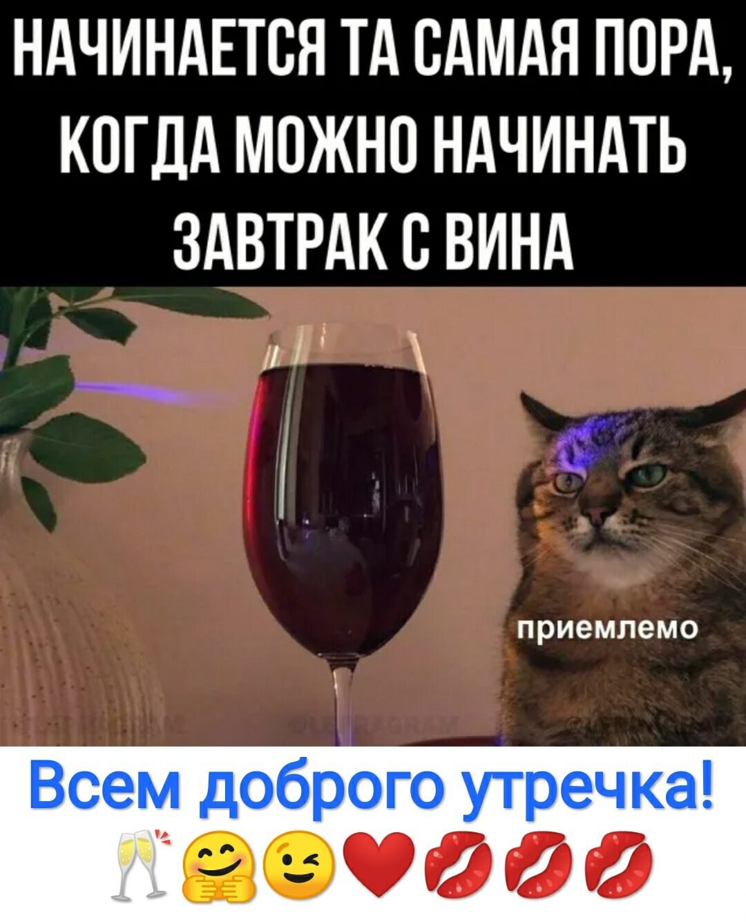 ***Victoria Viktorovna*** - 1  2025  08:37
