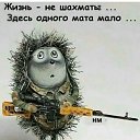 ���� ����, �����-���������, 38 ��� - ��������� 17 ������� 2026 � ������ ���� ����������