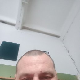 , , 43 