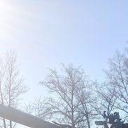 ������, 43 ����, �����������