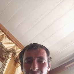 , 30, 
