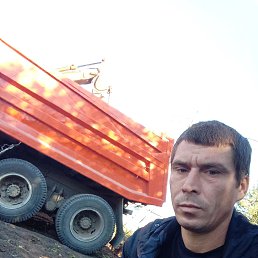 , 33, 