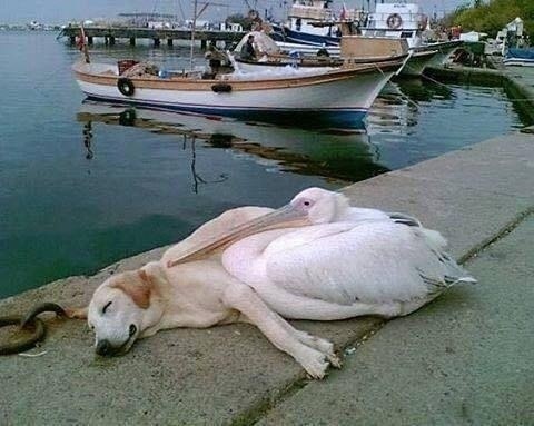      ,     