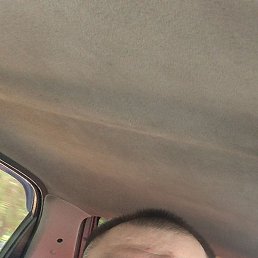 , 36, 