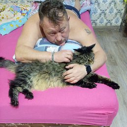 ������, ������������, 49 ���