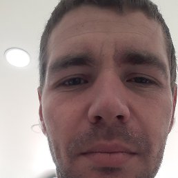 , 33, 