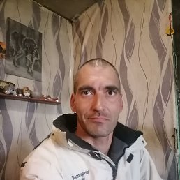 , 40, 