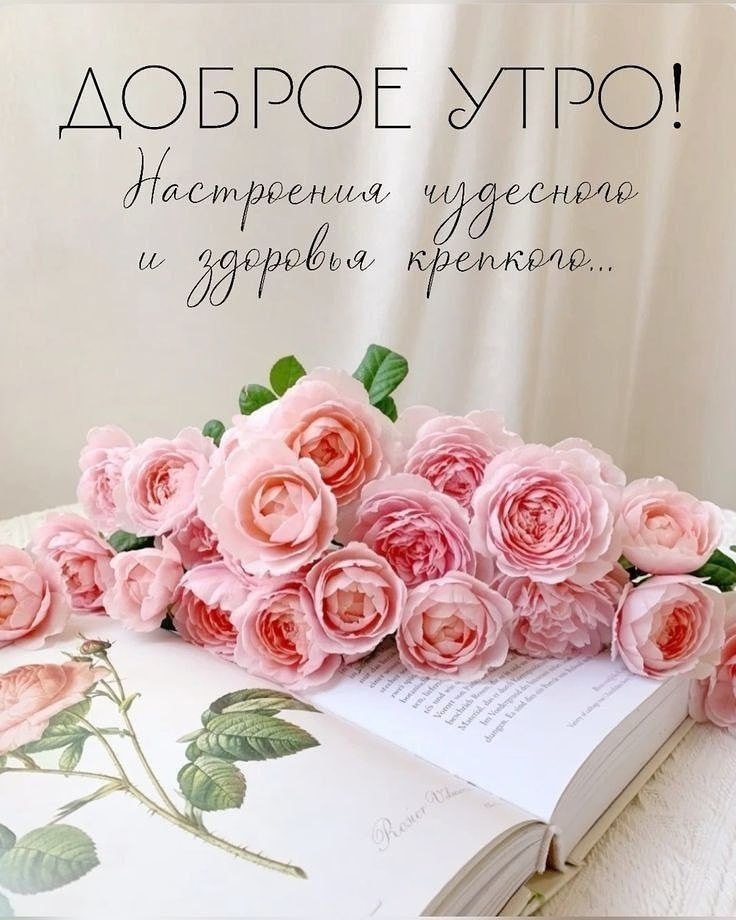 ����������� � ���������, �������� �� ������ ����. - 15 ������ 2026 � 00:12