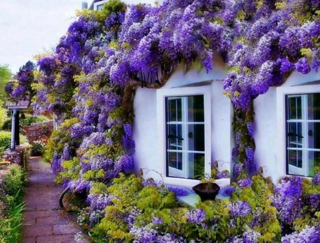 ���� ��� ���, ��� ���� �����. ���� ����