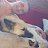 ���� ������, ��������, 42 ���� - ��������� 11 ��� 2025