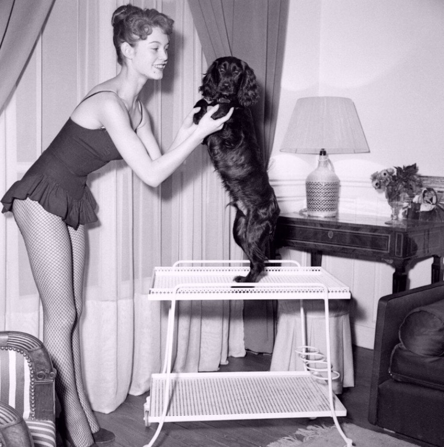 p  c o coa, e 1950- oo.