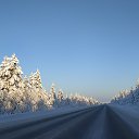 ���� ������, ������, 52 ���� - ��������� 20 ������ 2024 � ������ ���� ����������