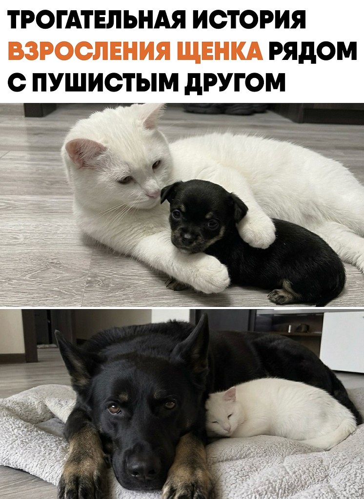 ��������� ��������� ����� ����� ����� � ��������� ���������� ���. �����-�� �� ��� ���� ��������� ...