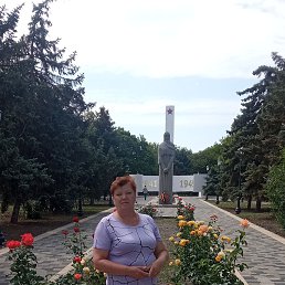 , 65, 