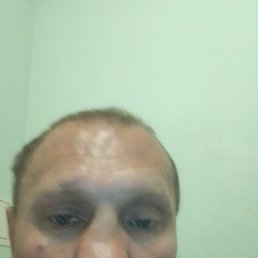 , 41, 