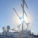 ���� ������, ����-���, 53 ���� - ��������� 29 ����� 2026 � ������ ���� ����������