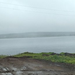 ���������, �����������, 49 ���