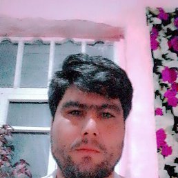 , 29, 