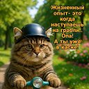 ���� �������, ������ - ��������� 12 ������� 2026 � ������ ���� ����������
