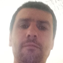 ��������, ����, 37 ���