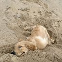 ���� ���������, �����-��������� - ��������� 5 ������ 2026 � ������ ���� ����������