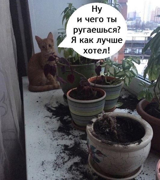 ,  - 2