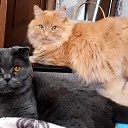 ���� ���������, ������ - ��������� 14 ������ 2025 � ������ ������ ��������