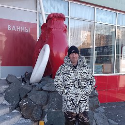 ����, 41 ���, �����������