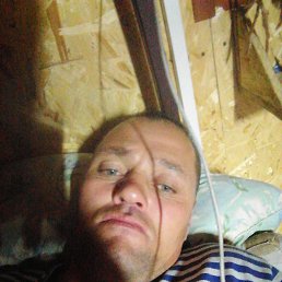 , 41 , 