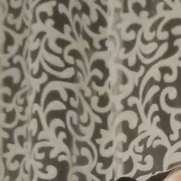 �����, �������, 48 ���