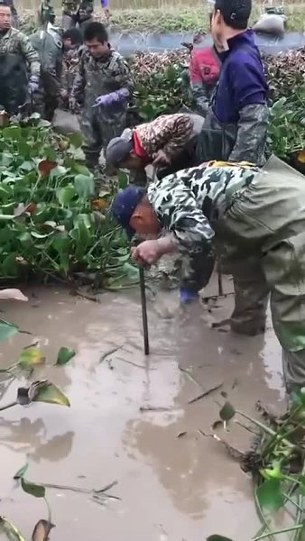 Какая веселая у них работа. В поисках черепашек - 2