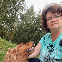 , 45, 