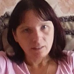 ������, ������, 41 ���