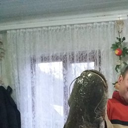 ����, ������, 56 ���